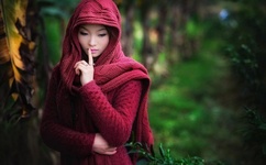 无翼乌全彩之少女漫画大全